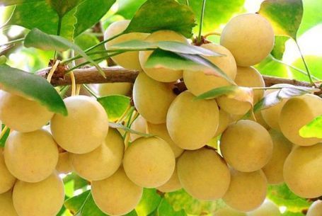 立冬后,三类食物别放过,改善睡眠,消除疲劳,助你健康