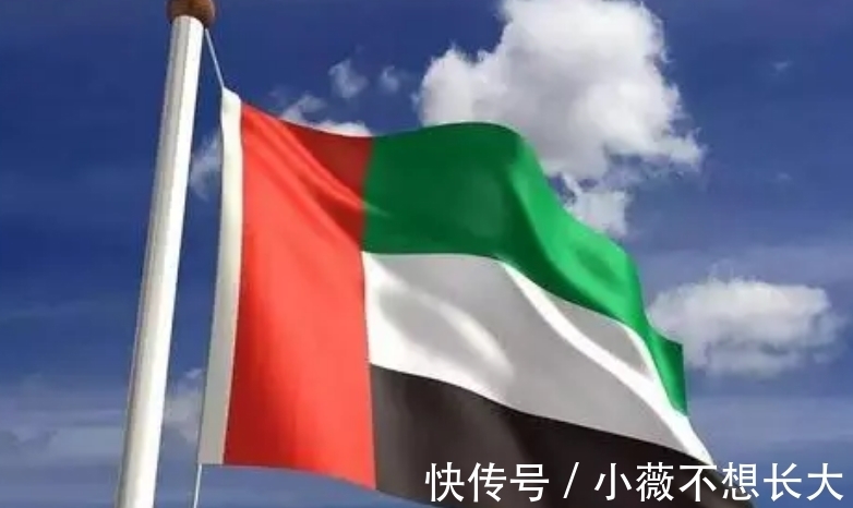 驻美大使馆|不惧美国力挺华为,阿联酋选对了