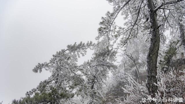 九华山|九华山迎来今冬第一场雾凇美景（组图）