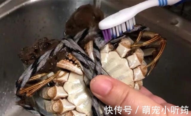 蒸大闸蟹时，直接上锅蒸就废了，多加这1步，蟹肉鲜嫩入味不流黄