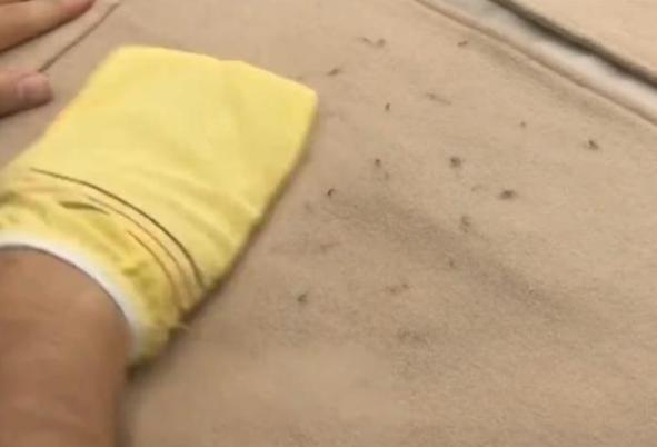 衣服穿久了经常起毛球4个办法可清除，跟新买的衣服一样