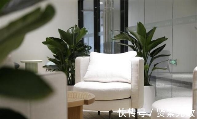 车企|从“绝不造手机”到“绝不造车”,华为式“阳谋”也只能骗骗小孩