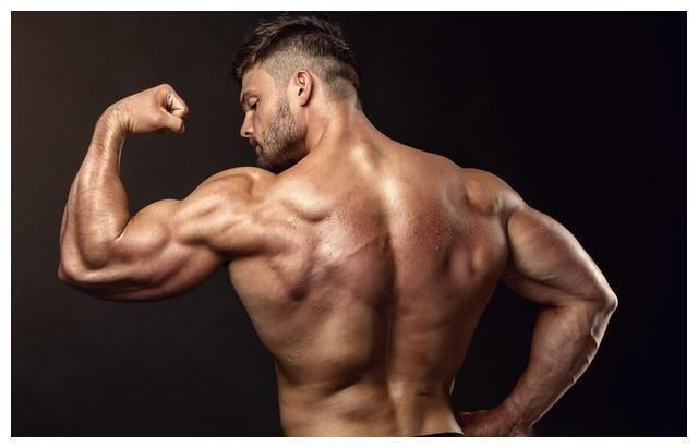 绳索|献给健身小白的六个经典背部训练动作,赶紧收藏,以后慢慢学