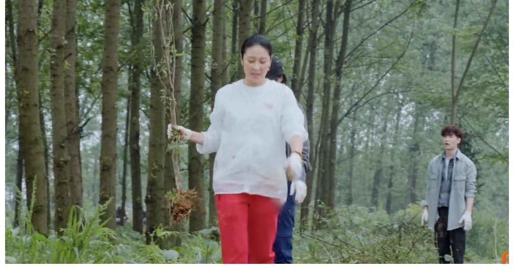 蘑菇|那英问张艺兴“你唱歌跑调吗”，张艺兴回击的方式很高级