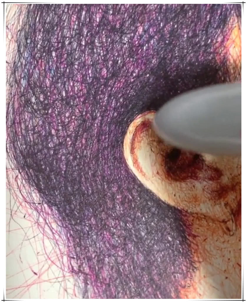 笔画&2块钱圆珠笔能画出什么美术生乱线画黄家驹,成画至少200块