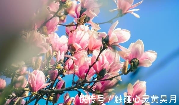 家境|下半年,户头有钱的四大生肖,家境优渥,有钱有爱