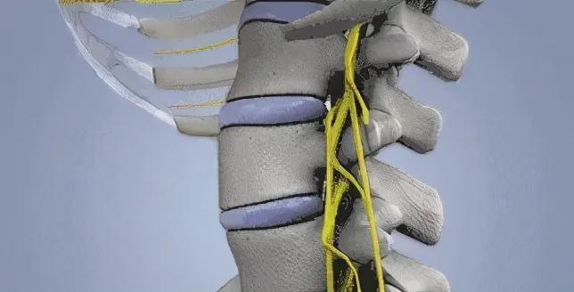 孩子|妈妈拼了!给孩子打生长激素、脊椎埋线花了18万,回头一看全是坑