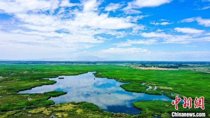博湖县|航拍新疆博斯腾湖芦苇湿地：绿意盎然