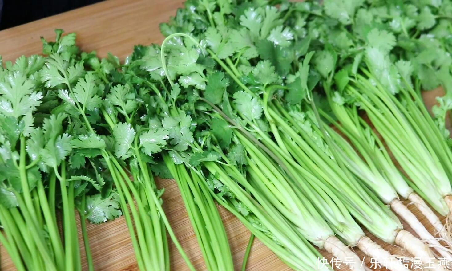 香菜买多了怎么办大厨教你储存技巧,1分钟学会,放一个月不会坏