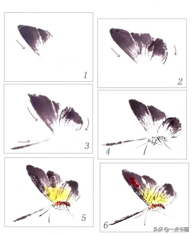 蝶斑！一学就会——写意蝴蝶画法