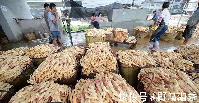 空腹|生姜放久了总是坏,教你简单1个小妙招“不干瘪不腐烂”!