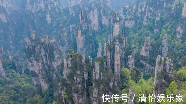 黄腹角雉|中国改名字最成功的城市，年接待游客逾7000万，旅游收入达620亿