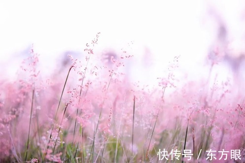 淡然|真正的幸福，就是一杯“白开水”