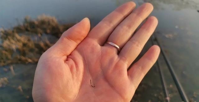 野钓别只用伊势尼！想大小通杀，还是这几种鱼钩效果更好