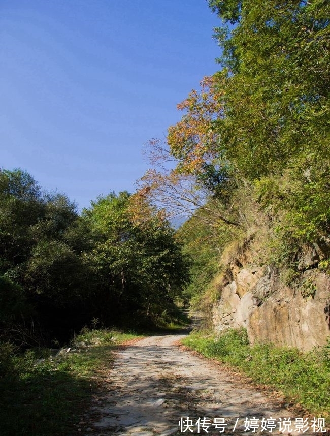 茱萸|寻访秦岭苦竹沟，灌满浆汁的烂红野果和山货挂满枝头，都无人采摘