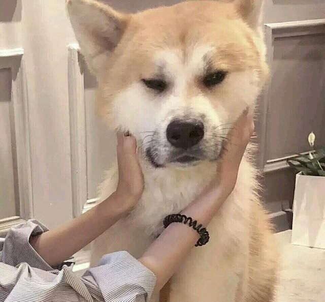 二胎政策|“生两个儿子,不生一个女儿”,听完二胎妈妈的故事,我恍然大悟