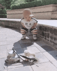 |搞笑GIF:千军万马,这个是真惹不起!