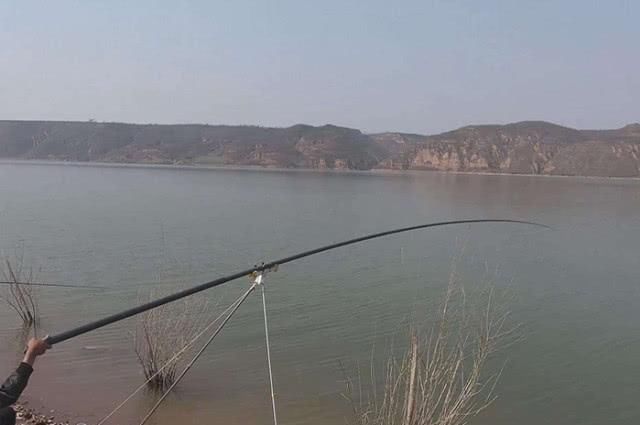 钓鱼|钓不到大鱼的钓友看过来,掌握这套秘籍,钓到大鱼几率会很高