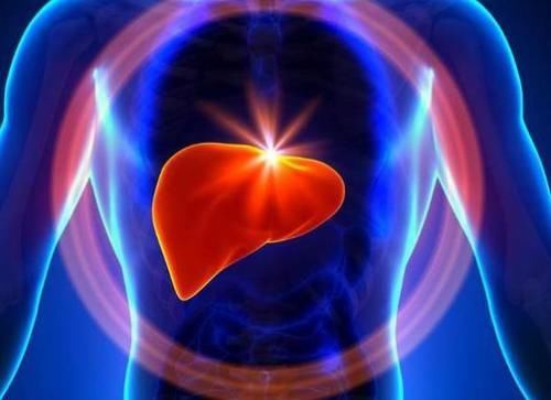 排毒|养肝界的“冠军”找到了，不是枸杞、胡萝卜，你若爱吃，肝更强壮