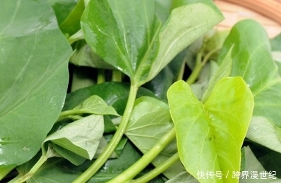 番薯叶|番薯叶和它是天生一对,一周吃一次,给身体做个大扫除,净化血液