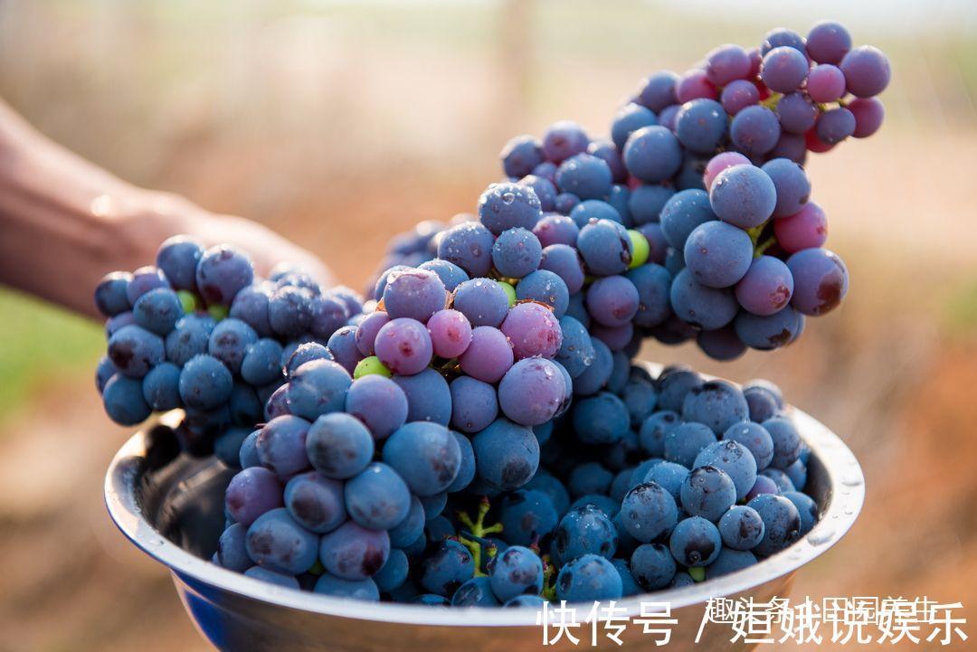 常吃|胃不好的人，要常吃3种水果，营养护胃，胃不好的朋友要知道！