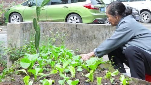百岁老人看起来像七八十岁，长寿秘诀很简单，但多数人做不到