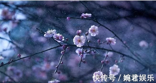 咏早梅$姜夔的一首炫技之作,从开篇美到结尾,800多年来无人能超越