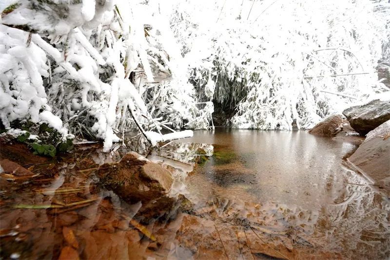 冰雪|绝美雪景！古蔺邀请你来体验“冰雪奇缘”