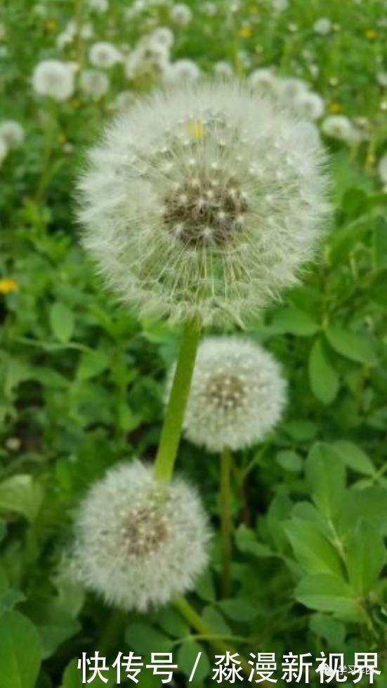 晚间悦读|坚持跑步的每一天里,你的身体正在发生这些变化