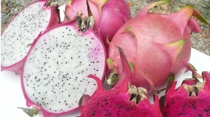 火龙果|怀孕期间,这些水果是败火必备,能去火还能预防宝宝黄疸