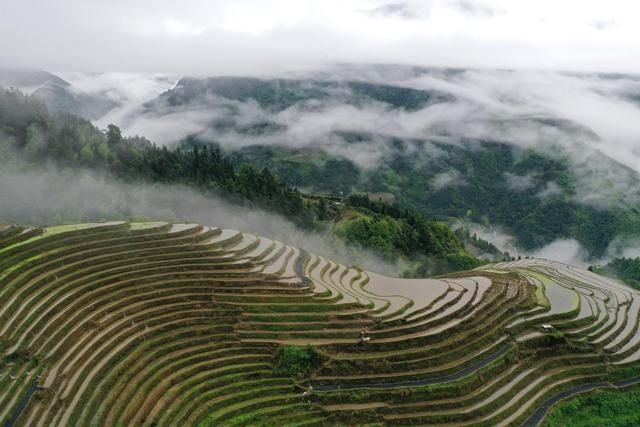 龙脊梯田|烟雨龙脊景色美