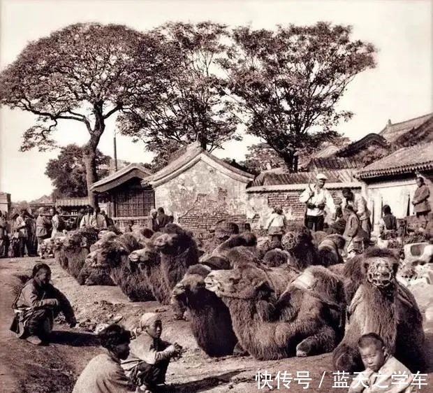 历史|30张历史老照片,道尽清末民初的社会世道