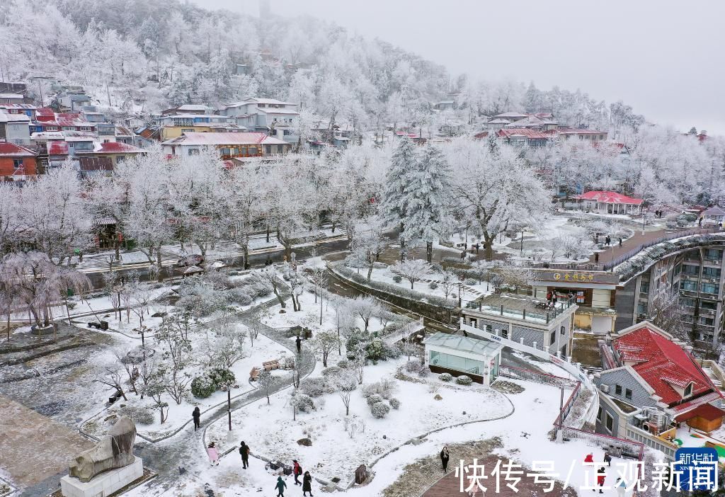 雪景|雪落庐山