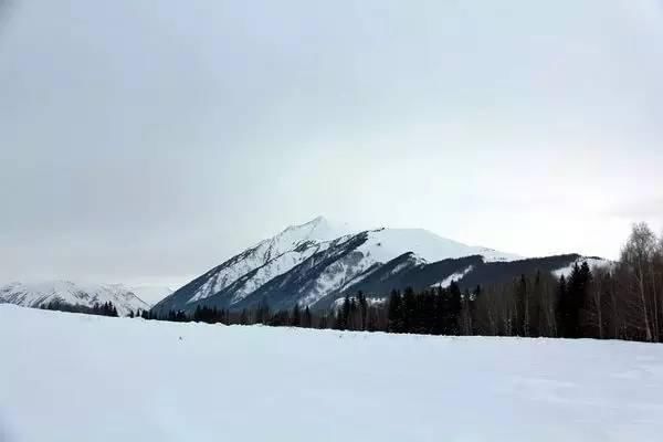 神话里|如果东北的雪景是童话，那北疆的雪景便是神话！