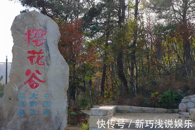 天然大氧吧|湖北一“天然大氧吧”，距武汉只有一小时车程，还是4A级景区