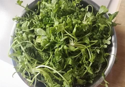 这菜春季正时令，鲜嫩多汁又实惠，5块钱3把，烙菜盒子就是香