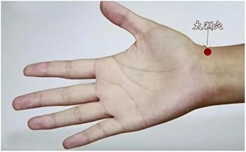 百病生|中医反复强调:肺气不足百病生,养肺做好这4点就够了