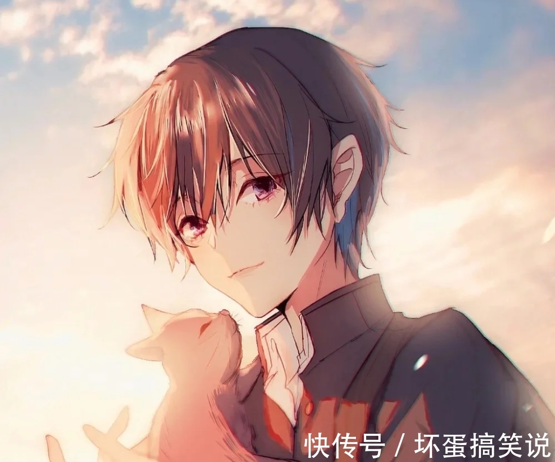 陈澍|校园文《奇迹的碎片》,高冷娇贵X卑微坚韧,互相救赎