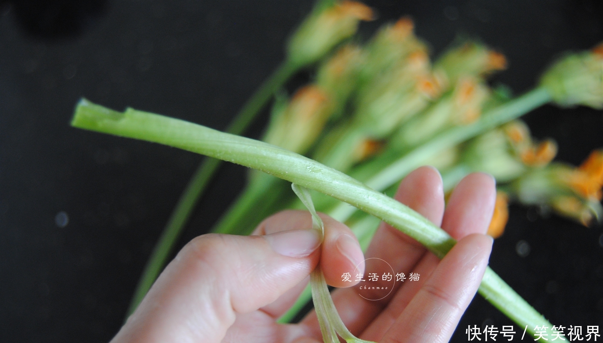 春季这菜最鲜嫩,开水煮一煮,鲜嫩爽滑,改善睡眠,一觉到天亮