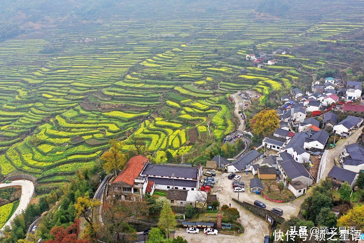 千年梯田花海，美得震撼，免费欣赏