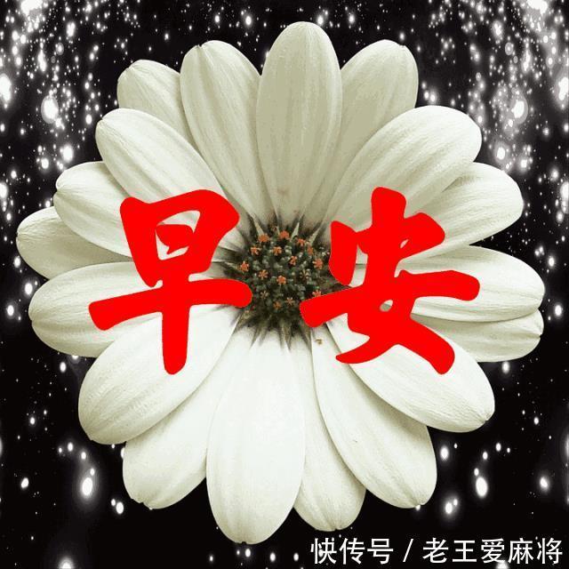 孤独|没有人喜欢孤独,但他们不喜欢失望