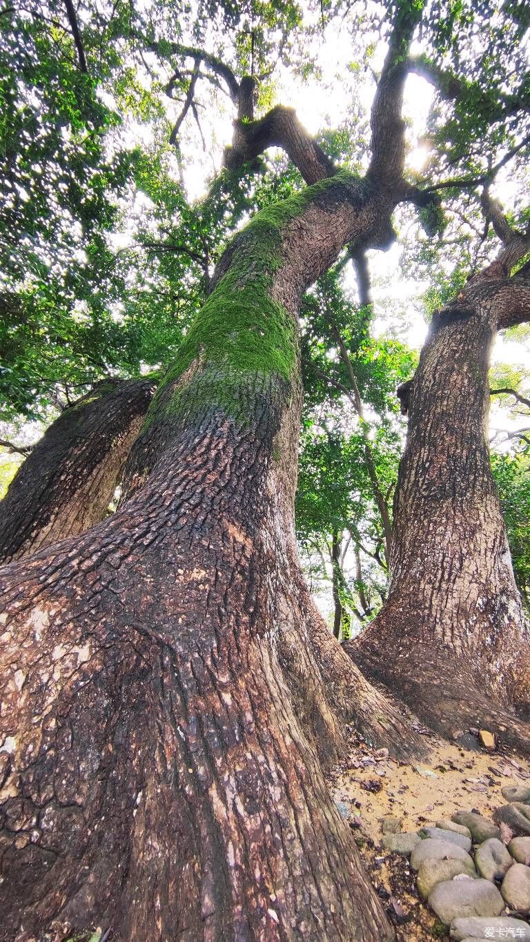 【爱卡踏青季】家在富春江上