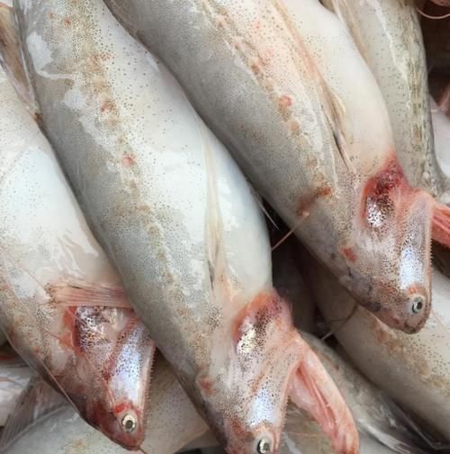 这3种海鱼是“首选”，美味营养足，菜市场直奔，鱼贩：真会吃！