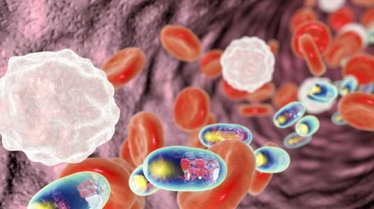 血液|来自大自然的“血稠药”，经常喝点，远离血栓、脑梗，人长寿！