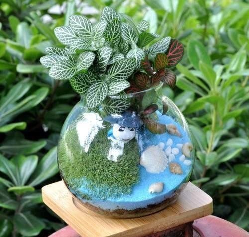 瓶景植株|过年大火的瓶景自己做,一瓶就是一个景观,小小一个真有趣