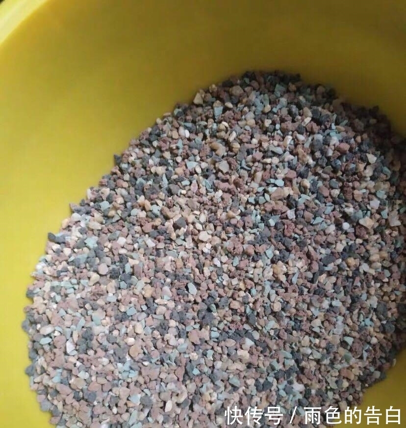养多肉必备营养土,6种土,多肉常用,了解作用以及使用方式