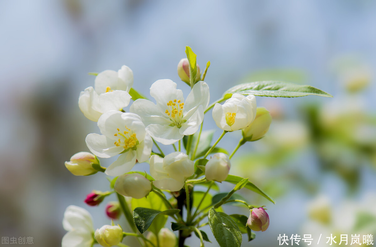  雨落|懂你眉间心上慈悲，许你花开未凉，雨落倾城