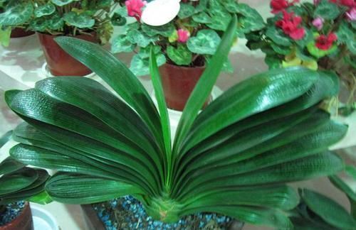 姑娘苗条的令人羡慕，穿长裙也能魅力四射