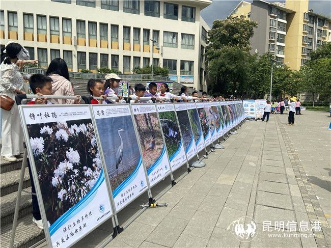 昆明信息港讯|滇池流域生物多样性科普进师大附小樱花语校区