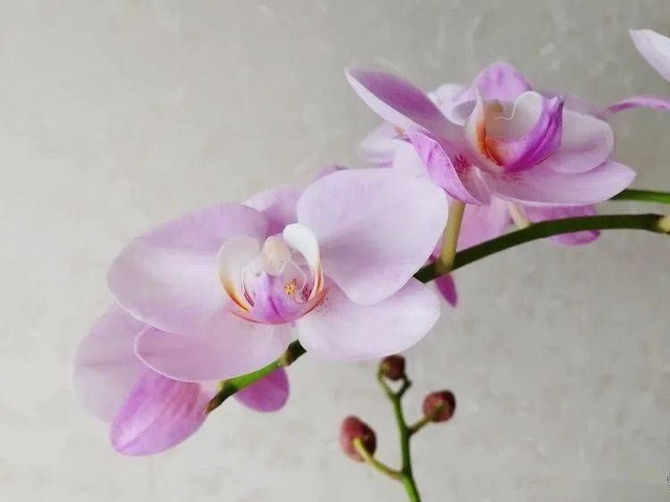 2021-1-22我们的爱从温暖的早餐开始